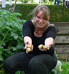 For anyone who wants to work up their hunger and thirst in advance of the AGM and barbecue, there will be plenty of things to help with at Netherton Community Garden on Saturday from noon.  Jobs needing done include: putting up the polytunnel, digging, then planting tatties, weeding, digging up the last af the leeks, thinning out the strawberries and getting things ready for the barbecue. Bring a long a bag or two if you want to take any strawberry plants, leeks or the last of 2009's potatoes.